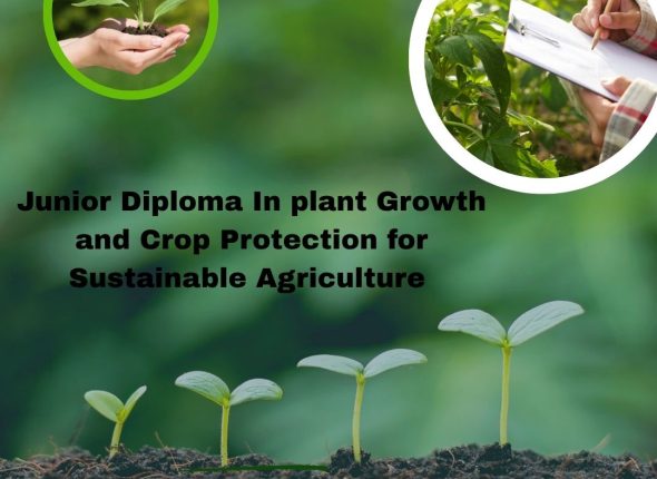 Green White Simple Agriculture Farming Services Instagram Post